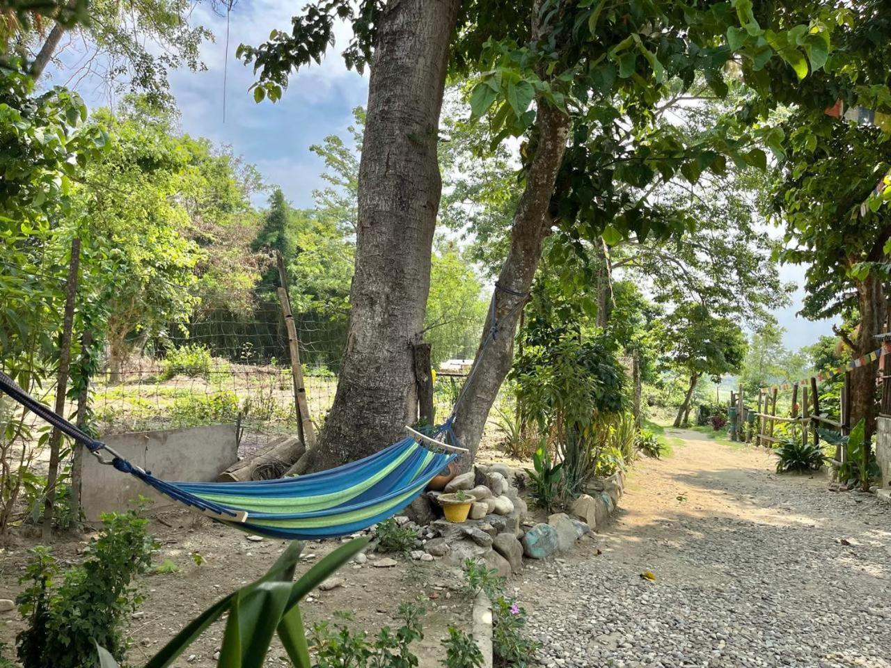 Bamby Chilling House - Feel The Nature Sauraha Exterior photo