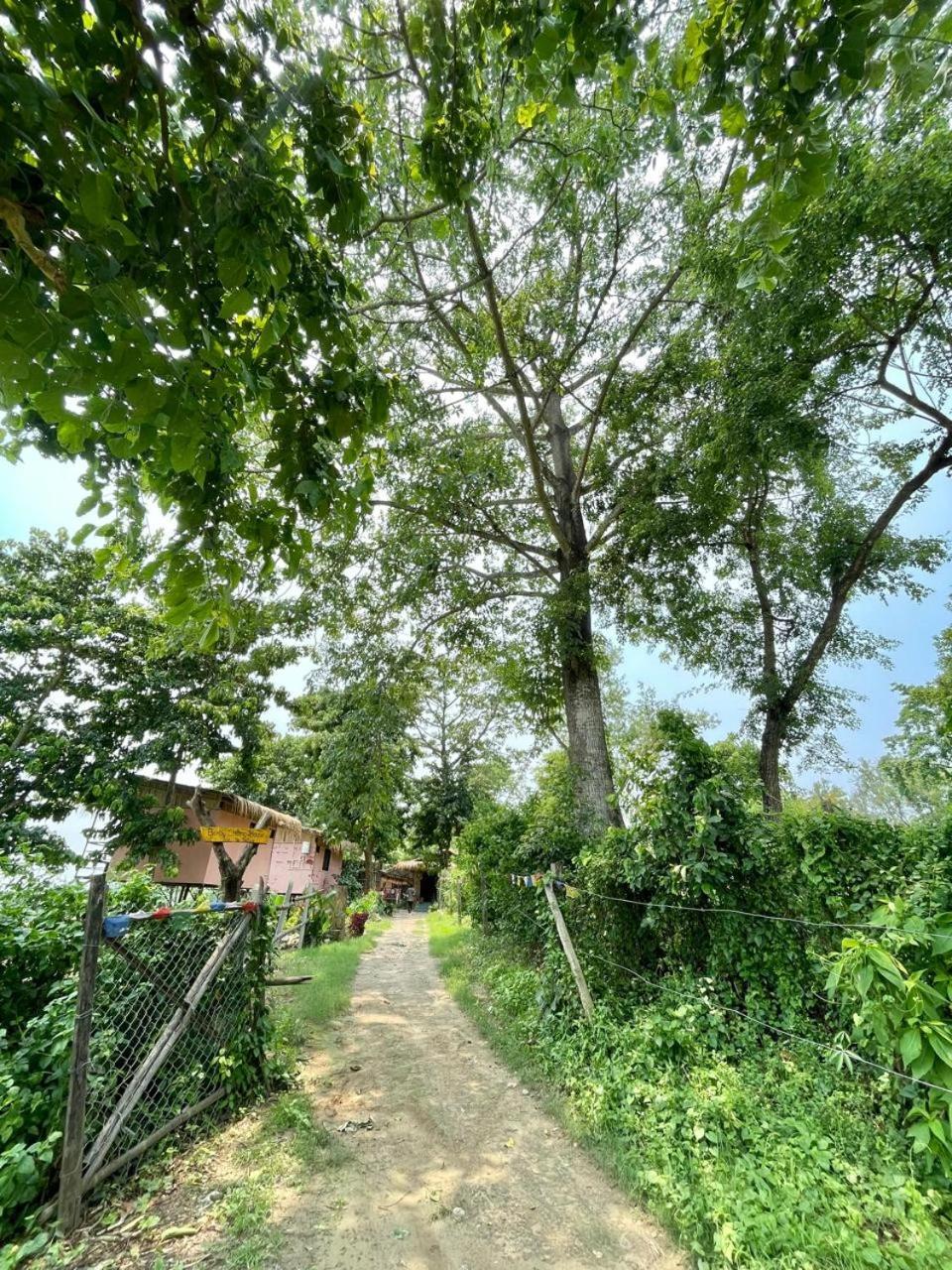 Bamby Chilling House - Feel The Nature Sauraha Exterior photo
