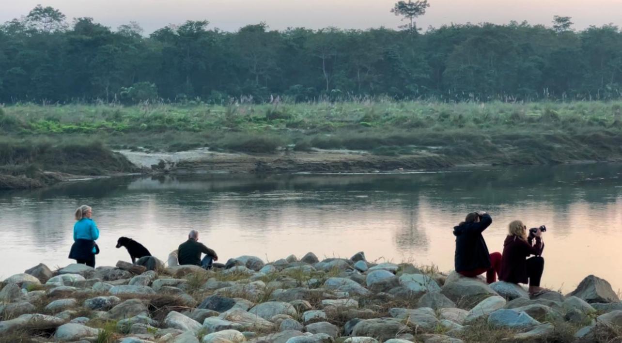 Bamby Chilling House - Feel The Nature Sauraha Exterior photo