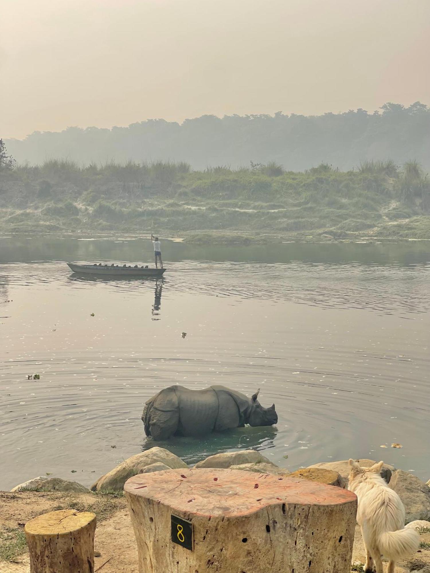 Bamby Chilling House - Feel The Nature Sauraha Exterior photo