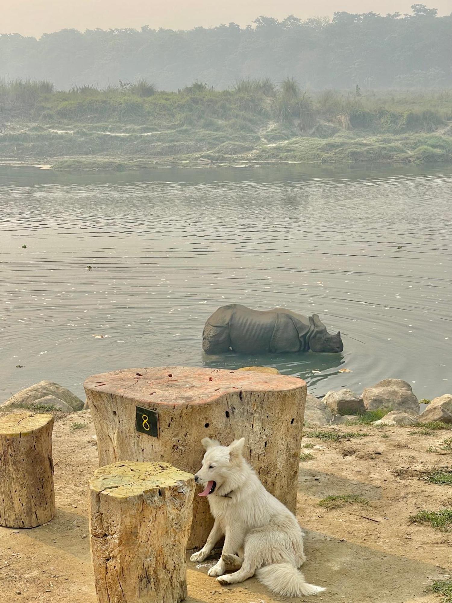 Bamby Chilling House - Feel The Nature Sauraha Exterior photo