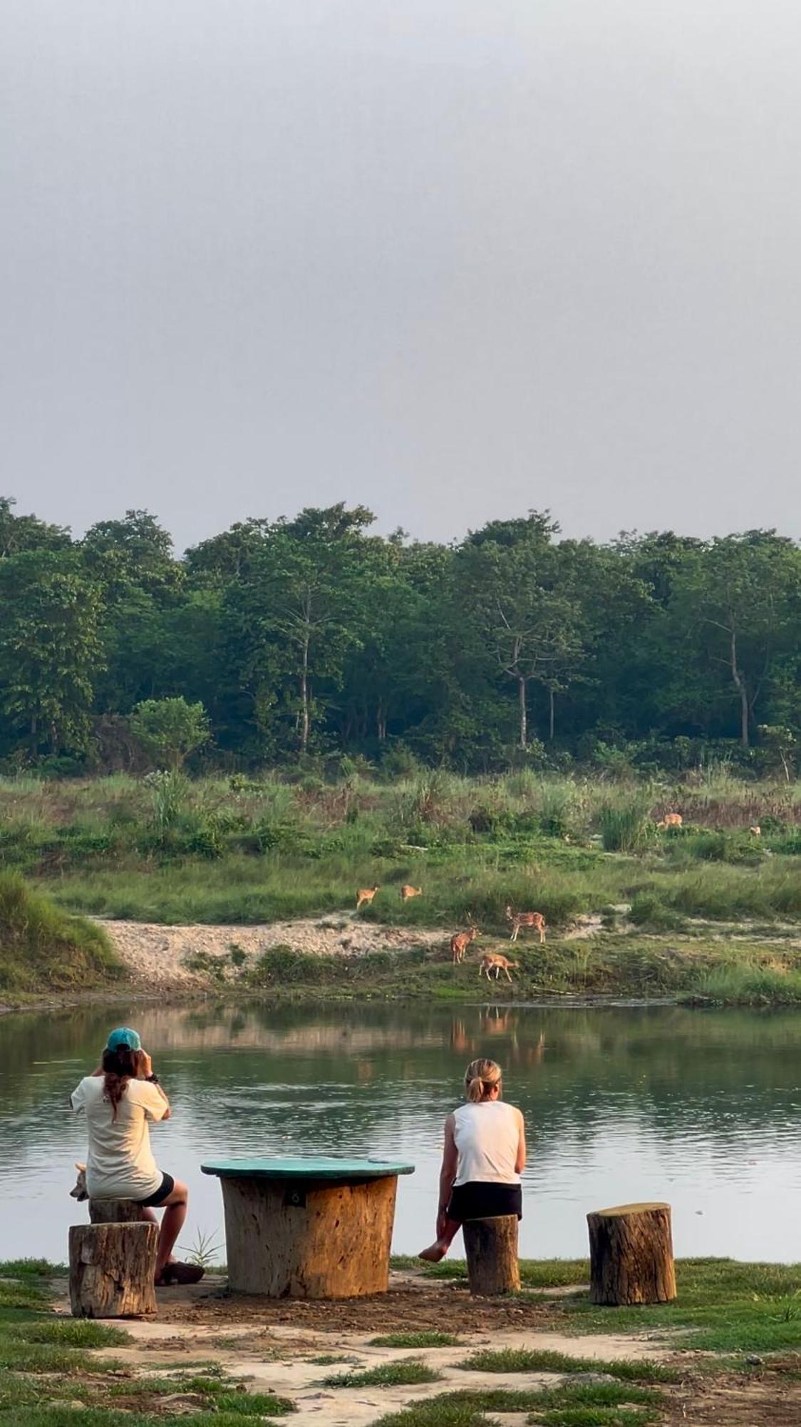 Bamby Chilling House - Feel The Nature Sauraha Exterior photo